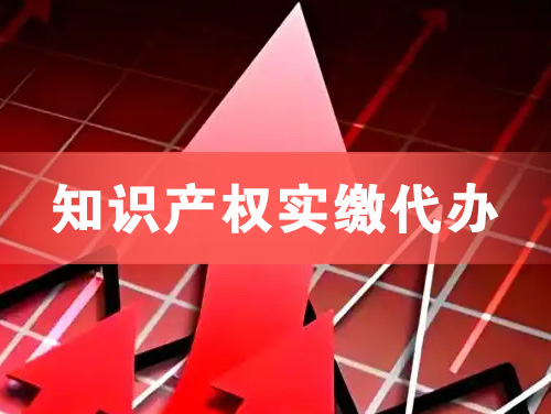 萝岗知识产权实缴资本代办